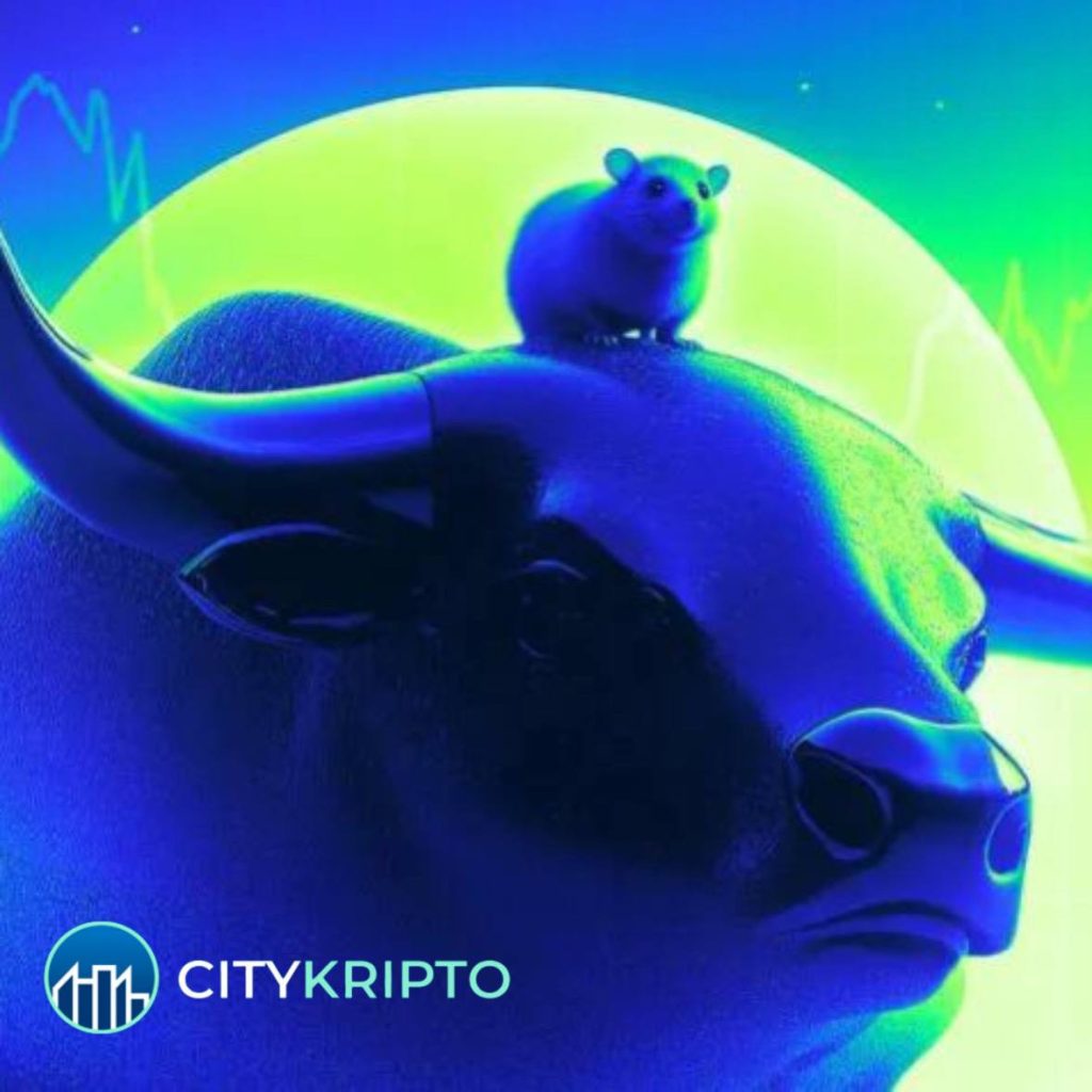 Hamster Network установил рекорд по скорости транзакций, обогнав Solana и других гигантов