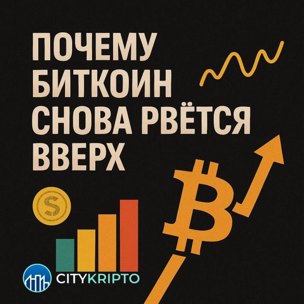 В QCP Capital назвали ключевые причины стремительного роста цены биткоина — к ним добавились новые факторы