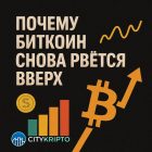 В QCP Capital назвали ключевые причины стремительного роста цены биткоина — к ним добавились новые факторы