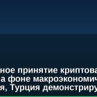 Глобальное принятие криптовалют падает на фоне макроэкономического давления, Турция демонстрирует рост
