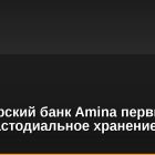 Швейцарский банк Amina первым начал кастодиальное хранение Canton Coin