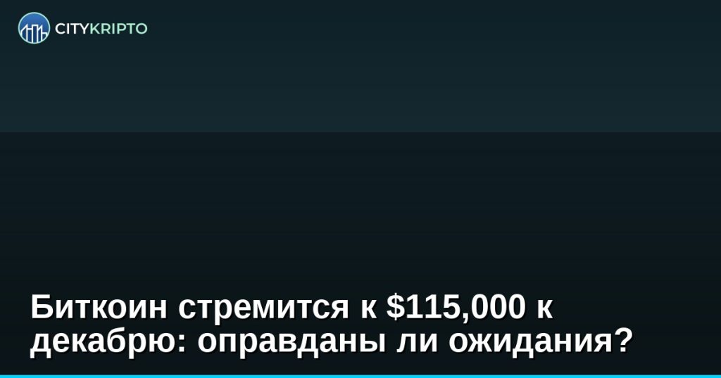 График биткоина с отметкой $115,000 и опционные контракты на декабрь 2024
