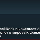 Глава BlackRock высказался о роли криптовалют в мировых финансовых системах
