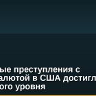 Налоговые преступления с криптовалютой в США достигли рекордного уровня
