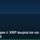 Транзакции с XRP выросли на 42% в 2023 году