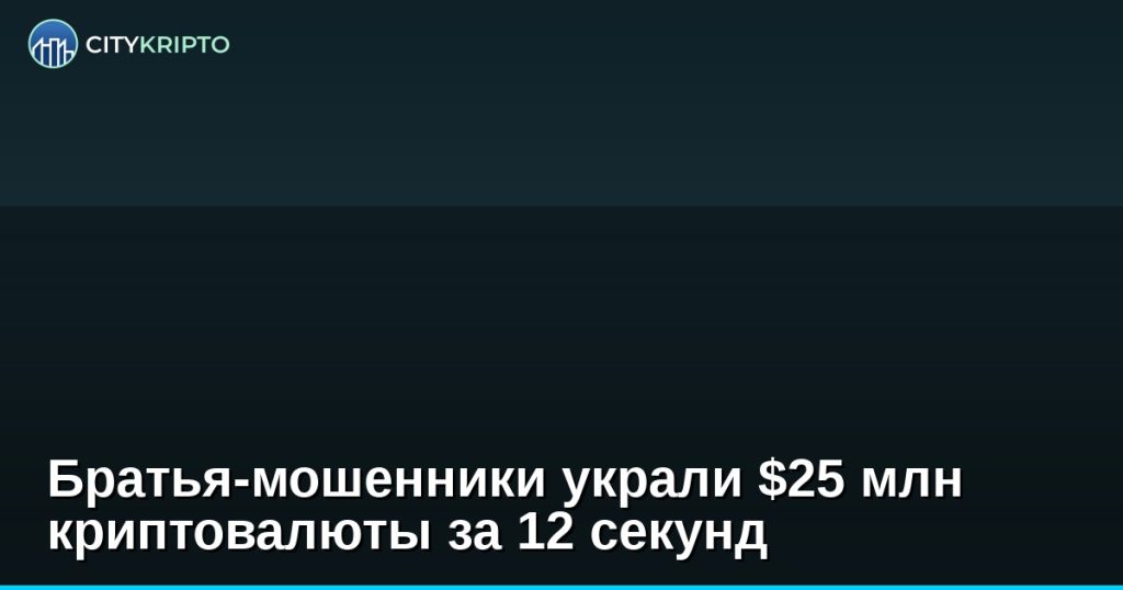 Братья-мошенники украли $25 млн криптовалюты за 12 секунд