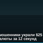 Братья-мошенники украли $25 млн криптовалюты за 12 секунд