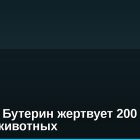 Виталик Бутерин жертвует 200 ETH на защиту животных