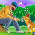 MetaMask запускает доходный стейблкоин-счет с картой для трат