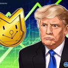 Трамп заработал на криптовалюте больше, чем на недвижимости в 2025 году