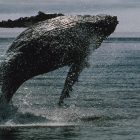 Киты Bitcoin купили $16.7 млрд за 2 недели на фоне рекордного оттока из ETF