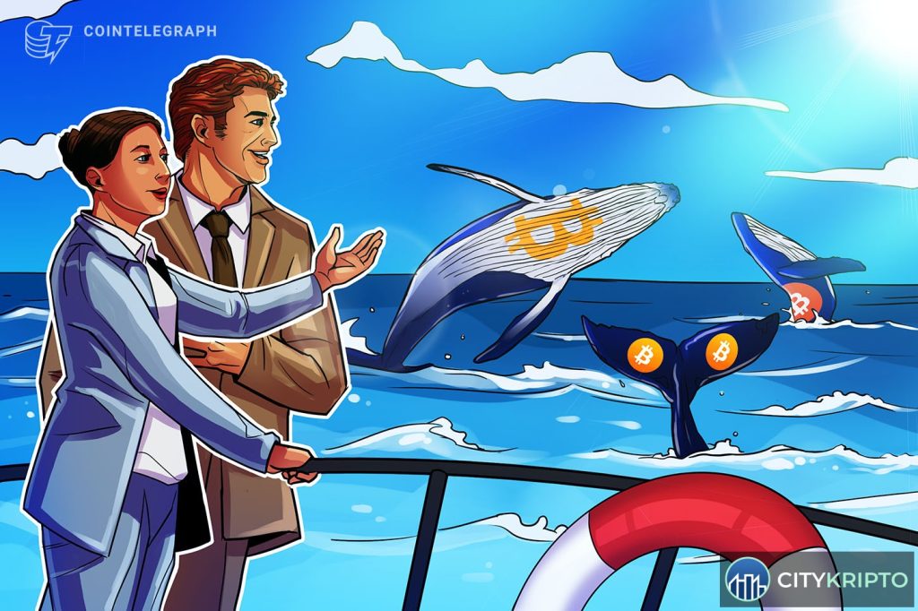 График роста курса Bitcoin до 64 000 долларов с индикатором Coinbase Premium