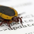ИИ нашел уязвимость Ethereum, выводящую валидаторов офлайн