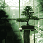 Bonsai 27B: Первая AI-модель для iPhone, работающая бесплатно