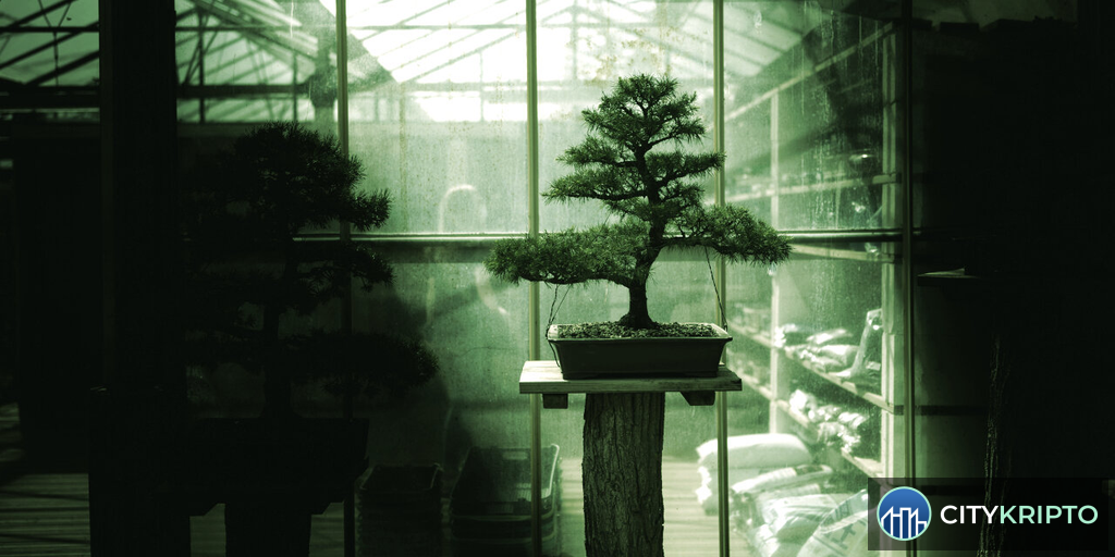 Скриншот работы Bonsai 27B на iPhone с примером решения математической задачи
