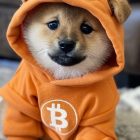 Лидер Bitcoin Ordinals предлагает способ обхода ограничений данных