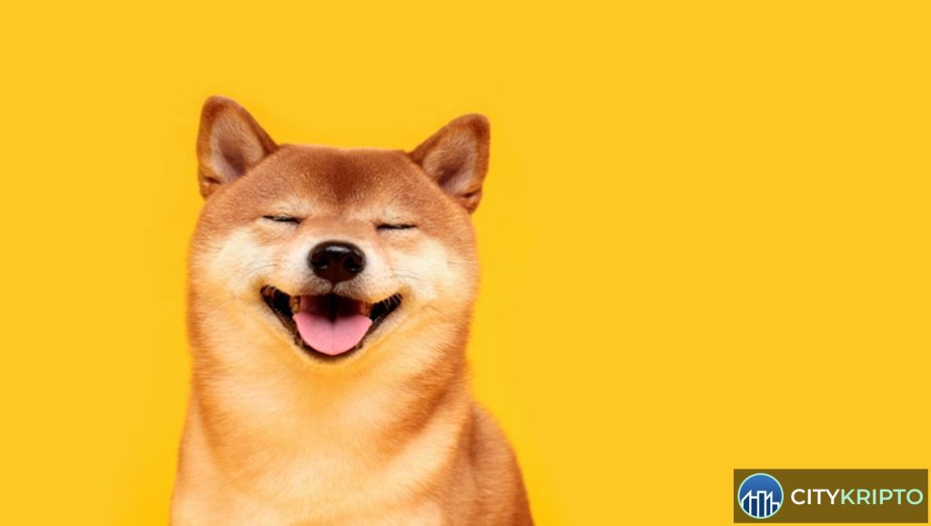 График роста Shiba Inu на 36% с акцентом на южнокорейские биржи