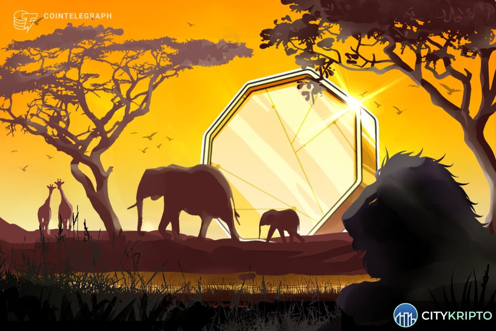 Zimbabwe регуляторная песочница финтех проекты