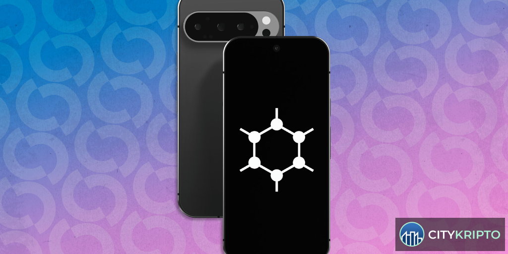 Логотип GrapheneOS на фоне судебных документов