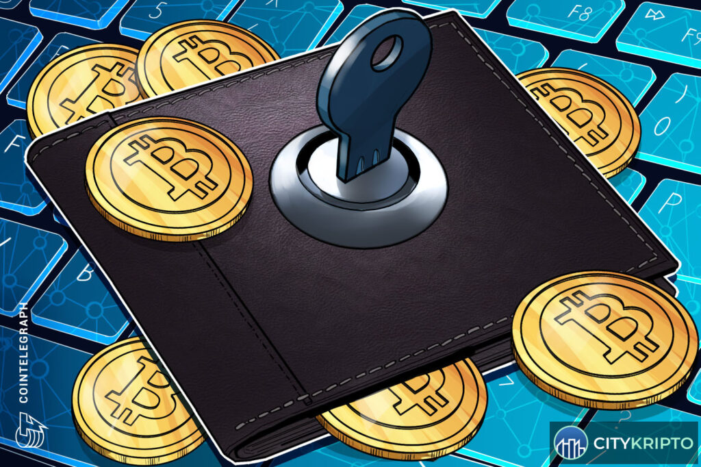 Аппаратный кошелек BitBox с обновлением прошивки для защиты криптовалют