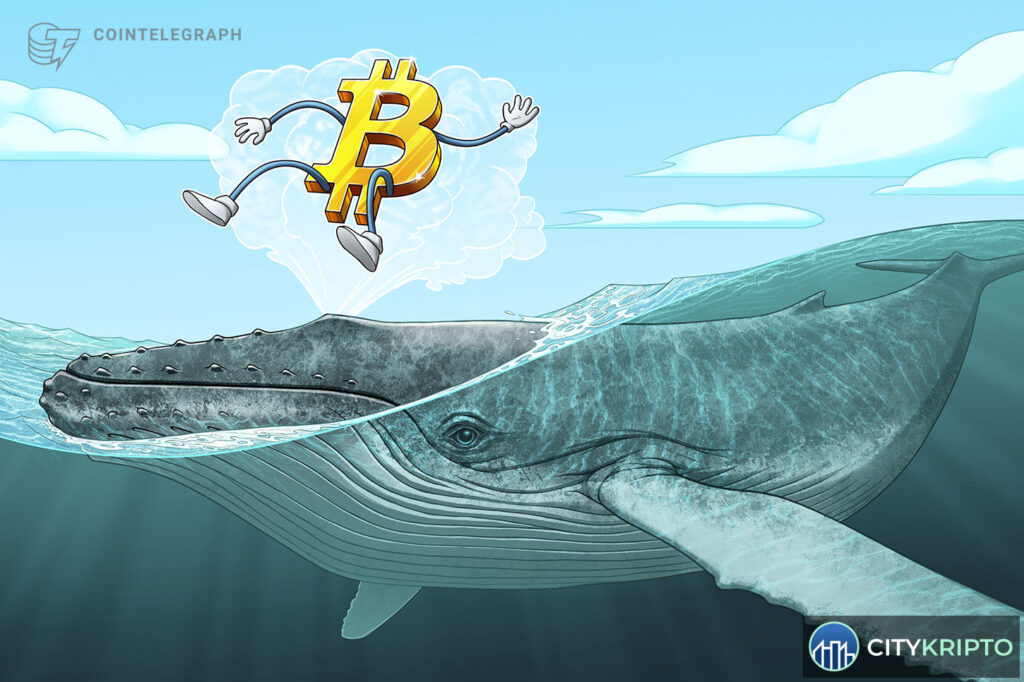 Перемещение 600 биткоинов, добытых в 2009 году, мониторинг Whale Alert