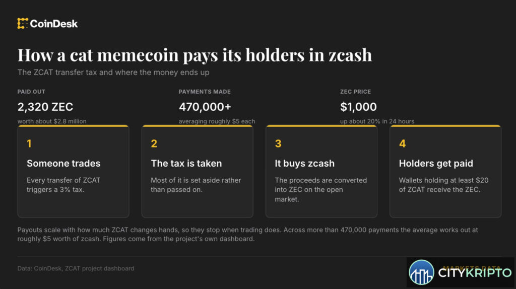 Мемкоин ZCAT и криптовалюта Zcash на фоне графика роста ZEC