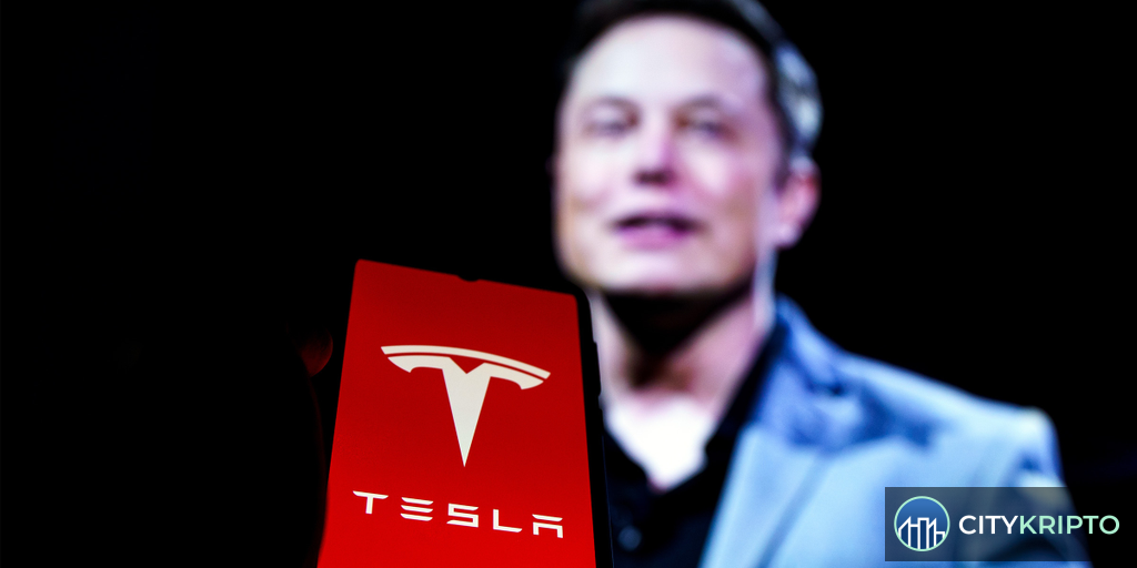 Илон Маск на фоне логотипа Tesla и робота Optimus