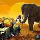 Криптофилантропия в Африке: провал реального теста