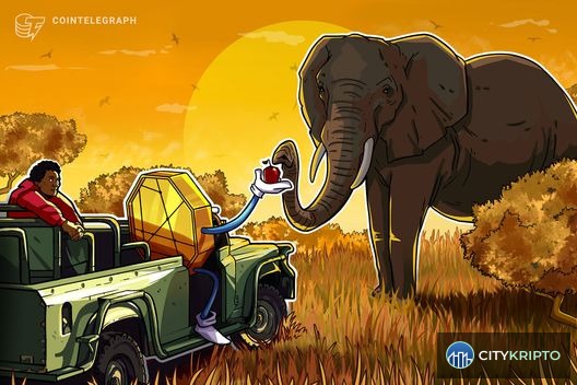 Криптофилантропия в Африке: анализ провала блокчейн-проектов