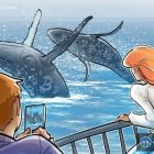 Киты купили 61 000 BTC за месяц на фоне нестабильности
