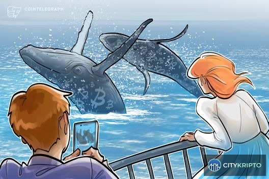 График активности китов Bitcoin на фоне глобальной нестабильности