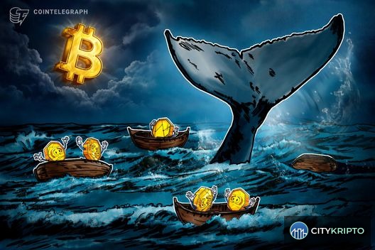 График потерь Bitcoin-китов в 2026 году с данными on-chain анализа