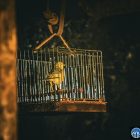 Bitcoin и квантовая угроза: план "жди и реагируй"