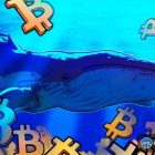 Bitcoin к $90K: киты поглотили 20-дневный запас BTC