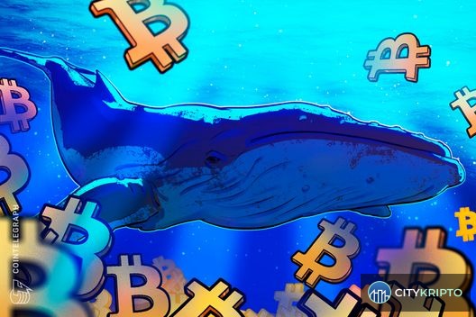 График роста Bitcoin к $90 000 с активностью китов на фоне