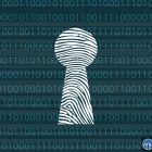 Блокчейны становятся приватными: будущее криптовалют