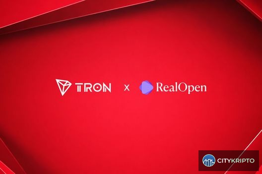 RealOpen и TRON верифицировали 9.4 миллиона долларов в USDT для покупки недвижимости за криптовалюту