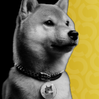 Dogecoin достигает 2-месячного максимума: майнинговая компания DOGE выходит на биржу через слияние