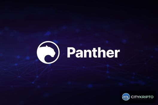 Panther Protocol logo on Polygon blockchain background