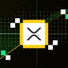 Спотовые XRP ETF привлекли рекордный приток с января