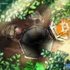Биткоин может упасть до $24 000 при обвале фондового рынка США на 50%